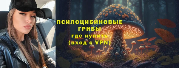 ALPHA PVP Алексин