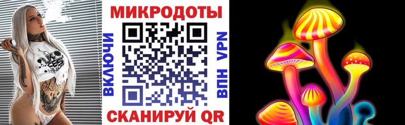 Псилоцибиновые грибы прущие грибы закладки Нерчинск